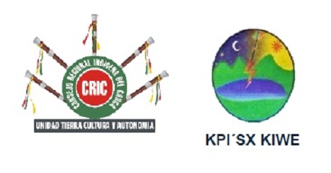 logo - CRIC y kpi's kiwe juan tama