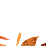 textura flores