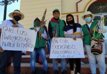Recuperar es armonizar la Madre tierra