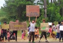 Pueblos Originarios. La fortaleza mbya guaraní posibilitó el cese del desmonte en su territorio