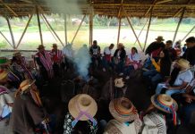Fallo en el que se estudió el alcance espiritual y cultural de la comunicación propia
