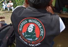 Planeación general de la Guardia Indígena del Cauca