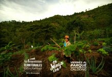 Lanzamiento de Autonomías Territoriales Tercera Temporada en minga con Viernes al Parque