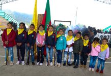 Posesión de semillas de vida en el resguardo indígena de Puracé