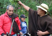 Proceso de Salud Propia en los 51 Años del Consejo Regional Indígena del Cauca