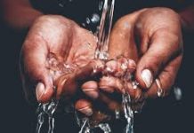 Pueblos Originarios. El agua para la vida toda (video)