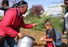 Análisis y la retroalimentación de la Normativa-SISPI