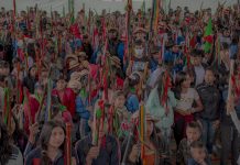 Semillas de identidad