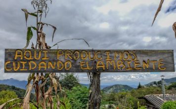 Relación de los polinizadores con los espacios de vida