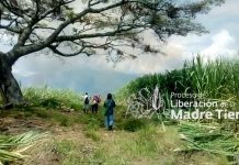 En Corinto Seguiremos Liberando la Madre Tierra