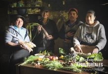 Mirarnos hacia dentro ¿Por qué nos están matando?