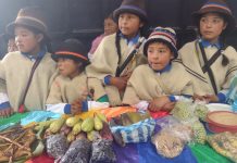 Mambeo de la palabra Reconstruyendo la Casa Yanacona