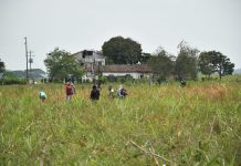 El CRIC, y los procesos de reclamación de tierras en el norte del Cauca.