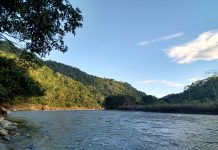 La comunicación con la naturaleza, la base de la comunicación propia