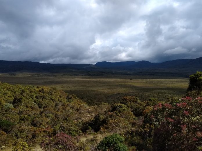 IMG-20221026-WA0066