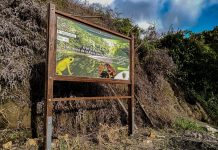 Protección de los espacios de vida a nivel territorial del CRIC, desde la ancestralidad y la espiritualidad
