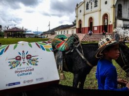 La búsqueda de la verdad en el Festival de Cine Ituango