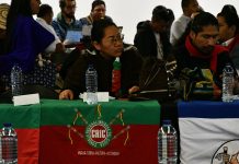 En el Marco de Concertación de las Diferentes Propuestas del Movimiento Indígena Nacional, Frente al Plan Nacional de Desarrollo (PND)
