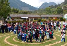 Posesión de semilleros de autoridad y guardia indígena en Páez-Tierradentro