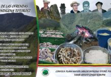 Tradición ancestral de las ofrendas Pueblo Totoroez