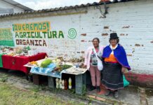 Primer Foro de Semillas Nativas y Criollas en el Cauca: Resguardando la Memoria y la Vida