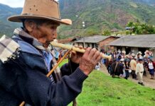 Biografía Mayor Ricardo Usnas Gogo