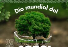 Los árboles es la columna del mundo