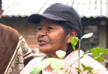 La UAIIN y el programa de comunicaciones del CRIC, fortaleciendo conocimientos ancestrales y territoriales en el Cauca