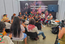 La Guardia Indígena, una estrategia central del Consejo Regional Indígena del Cauca en la COP16