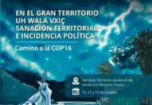 Comunidades indígenas, campesinos y afros se unen en evento de sanación espiritual en el Cauca