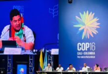 La COP16 en Cali se Convierte en un Espacio de Diálogo por la Protección de la Tierra y la Paz