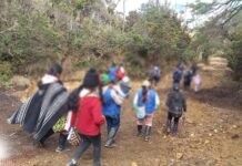 Recorrido para el Cuidado Territorial en Jambaló Evidencia Persistencia de Maquinaria Amarilla y Daño Ambiental en Espacios de Vida