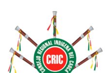 Logo CRIC fondo blanco
