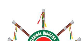 Logo CRIC fondo blanco