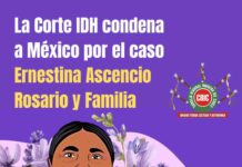 Mexico: Violencia Sexual, Tortura y Muerte de Ernestina, 18 años Despues
