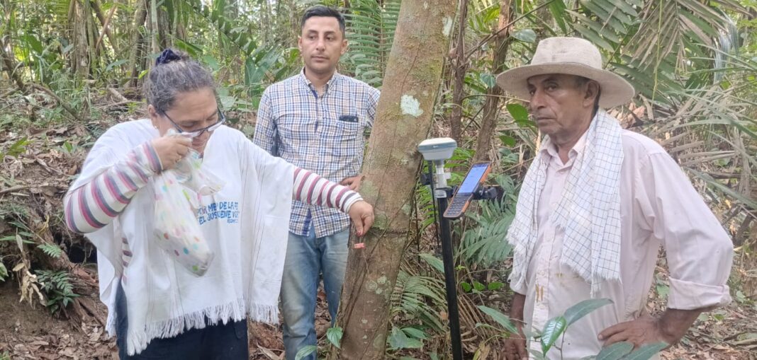 BOLETIN 20260408 URT restituye 2.728 ha en Mapiripán