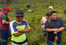 CRIC inicia la implementación de cuatro comunidades energéticas en territorios indígenas del Cauca