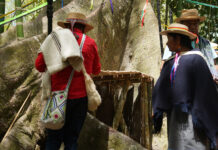 Desde la finca Emperatriz se da inicio al ritual mayor del Saakhelu