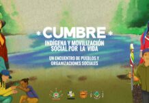 PRONUNCIAMIENTO DE LA CUMBRE INDÍGENA Y MOVILIZACIÓN SOCIAL POR LA VIDA